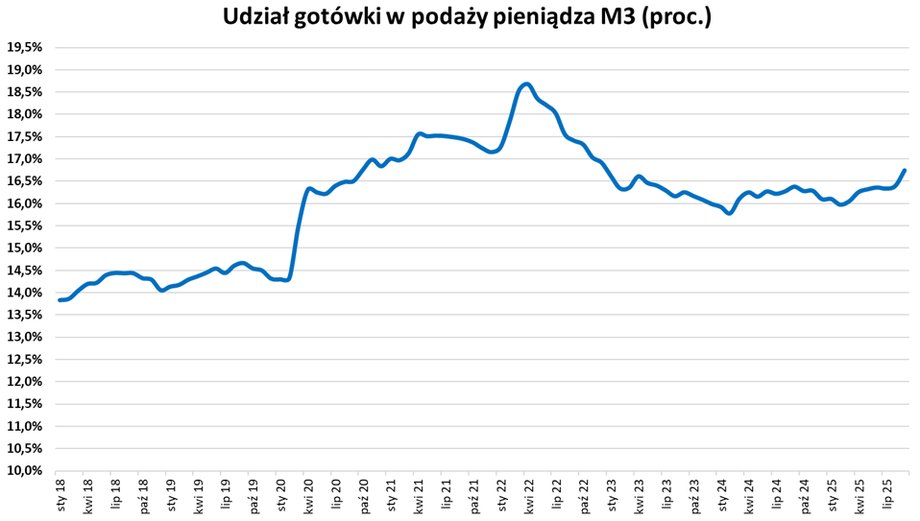 Polskie wypłaty gotówkowe w górę. Czy to zmartwienie? Analitycy finansowi tłumaczą. - INFBusiness