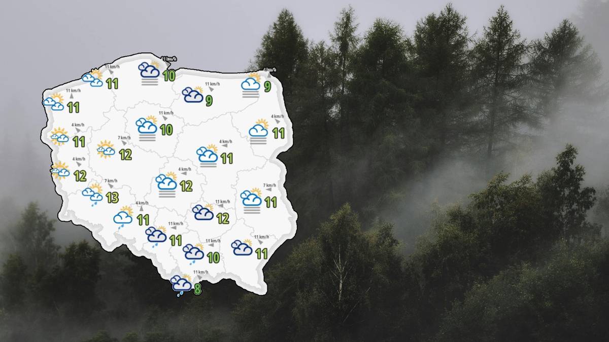 Państwowy Instytut Hydrologiczno-Meteorologiczny alarmuje o występowaniu mgieł, utrzymujących się w sobotni ranek na obszarze całej Polski. Alerty wydano dla 15 regionów administracyjnych - zakres widzenia może zmaleć w znacznym stopniu, nawet do około 100 metrów. Szczególną rozwagę powinni wykazać prowadzący pojazdy, jak również osoby podróżujące w góry. Mapa Polski z ikonami pogodowymi wskazującymi na mgłę i deszcz, nałożona na zdjęcie lasu spowitego mgłą.