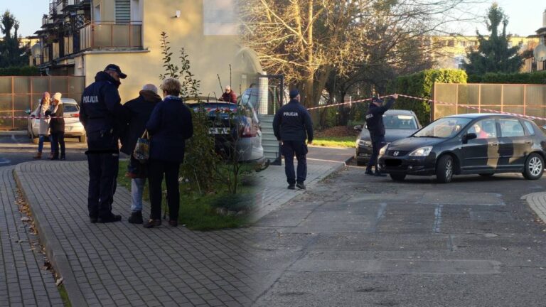 Około 300 osób poddano ewakuacji w piątek we Wrześni, znajdującej się w województwie wielkopolskim. Dwa dni wcześniej, w środę, odpowiednie służby zostały poinformowane o odnalezieniu przedmiotów wybuchowych w niedalekiej odległości od lokalnej szkoły podstawowej. Instytucja edukacyjna jest nieczynna od czwartku, zaś w piątek lokatorzy pobliskich budynków mieszkalnych byli zmuszeni do ich opuszczenia. Prace specjalistów od materiałów wybuchowych zakończyły się o godzinie 10:30. Ogromna akcja ewakuacyjna w regionie wielkopolskim. Bomby znalezione blisko placówki edukacyjnej. - INFBusiness