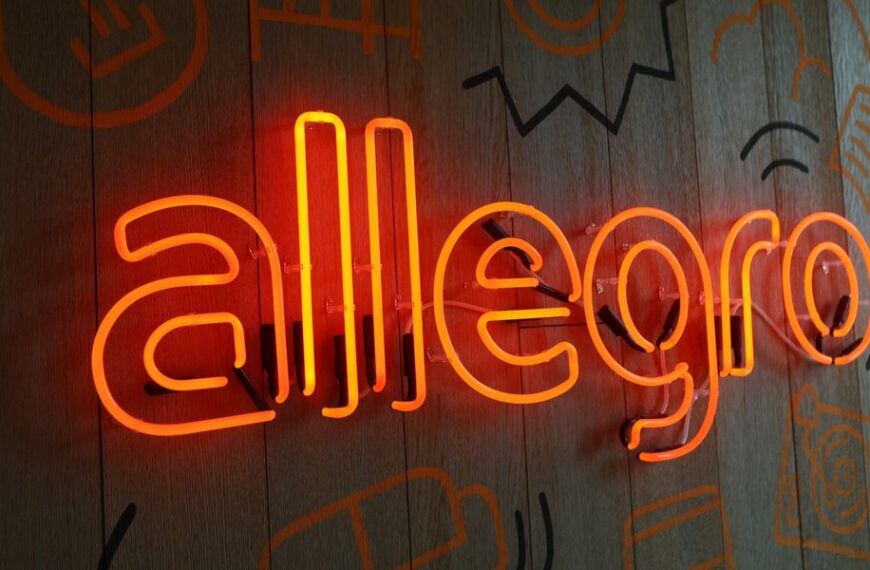 Allegro: Skąd pochodzą zyski? Ujawniamy wyniki.