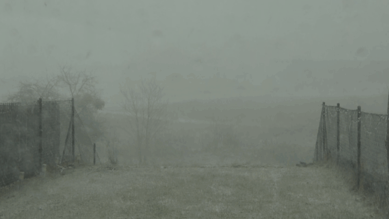 Weekendowa aura: Wichury, opady i śnieg, nie tylko w terenach górskich. - INFBusiness