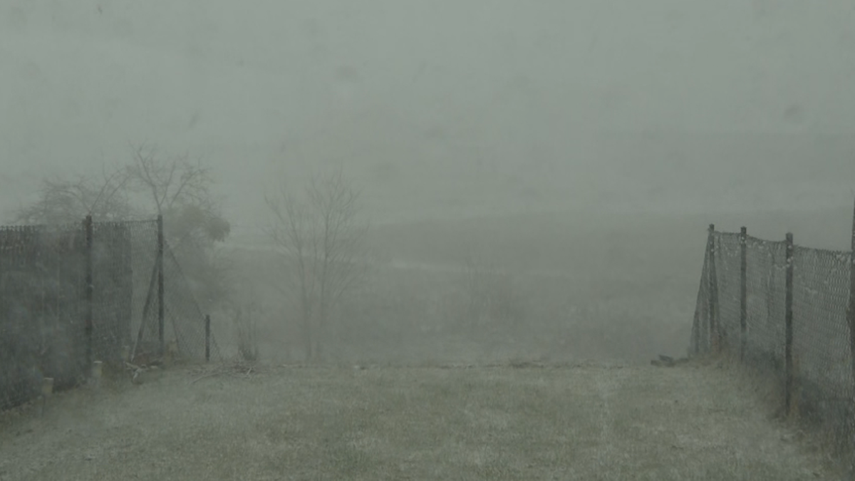 Nadchodzący weekend w przeważającej części kraju okaże się mokry i ponury - tak wynika z przewidywań ekspertów z Instytutu Meteorologii i Gospodarki Wodnej. Oczekiwany jest również silny wiatr, a z uwagi na to instytut ogłosił alerty dla południowo-wschodnich obszarów Polski. Natomiast na Mazowszu i Podlasiu mogą pojawić się opady mieszane deszczu i śniegu. Krajobraz podczas opadów śniegu z gęstą mgłą i ogrodzeniem po bokach.