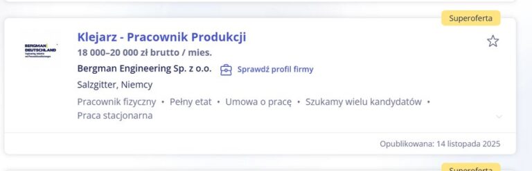 Wzrost zarobków Polaków w Niemczech gwałtownie przyspieszy. Taki plan ma Berlin. - INFBusiness