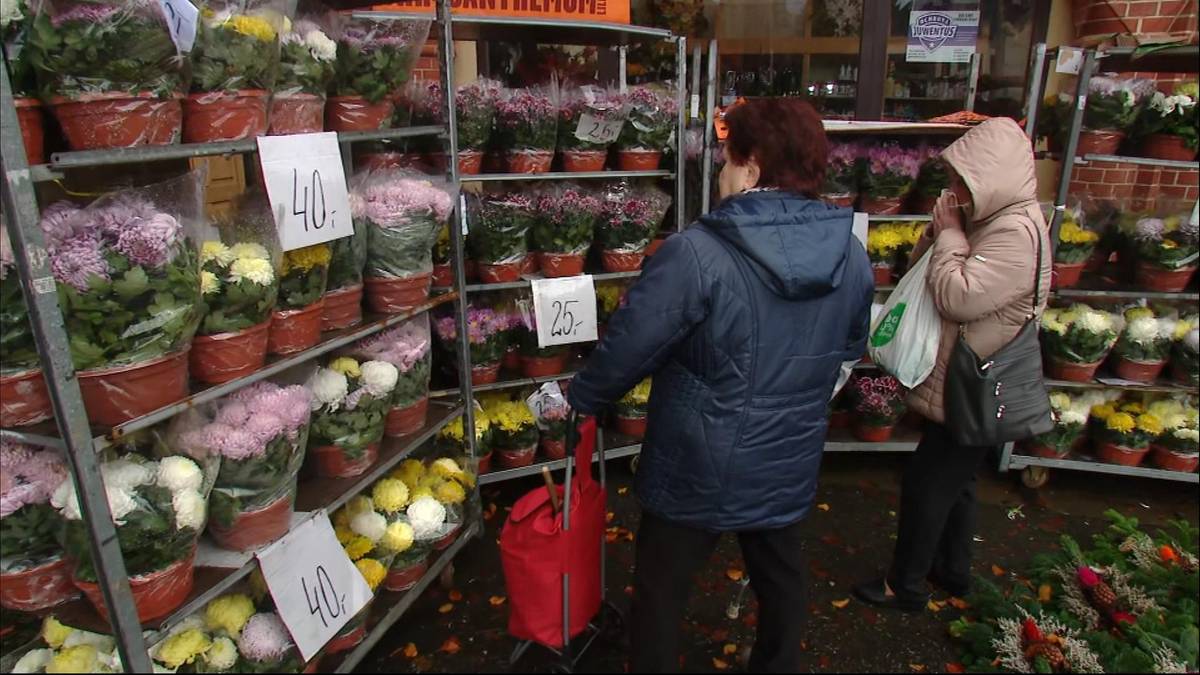 Elżbieta Penderecka odeszła. Małżonka znanego twórcy muzyki zmarła w wieku 78 lat. - INFBusiness