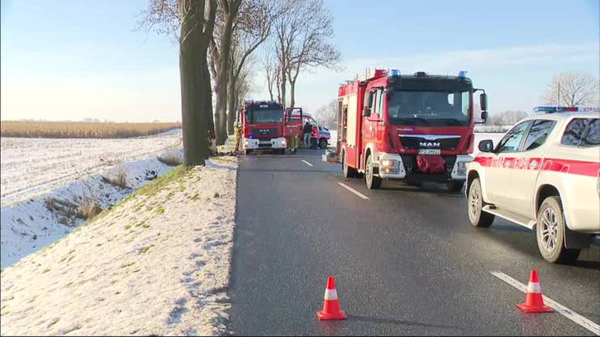 Falszywe medykamenty w obrocie. Grupa przestępcza zlikwidowana przez policję. - INFBusiness