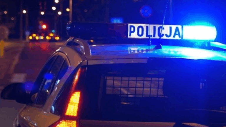 Smogorzewo: Padły strzały. Rozpoczęto policyjną akcję. - INFBusiness