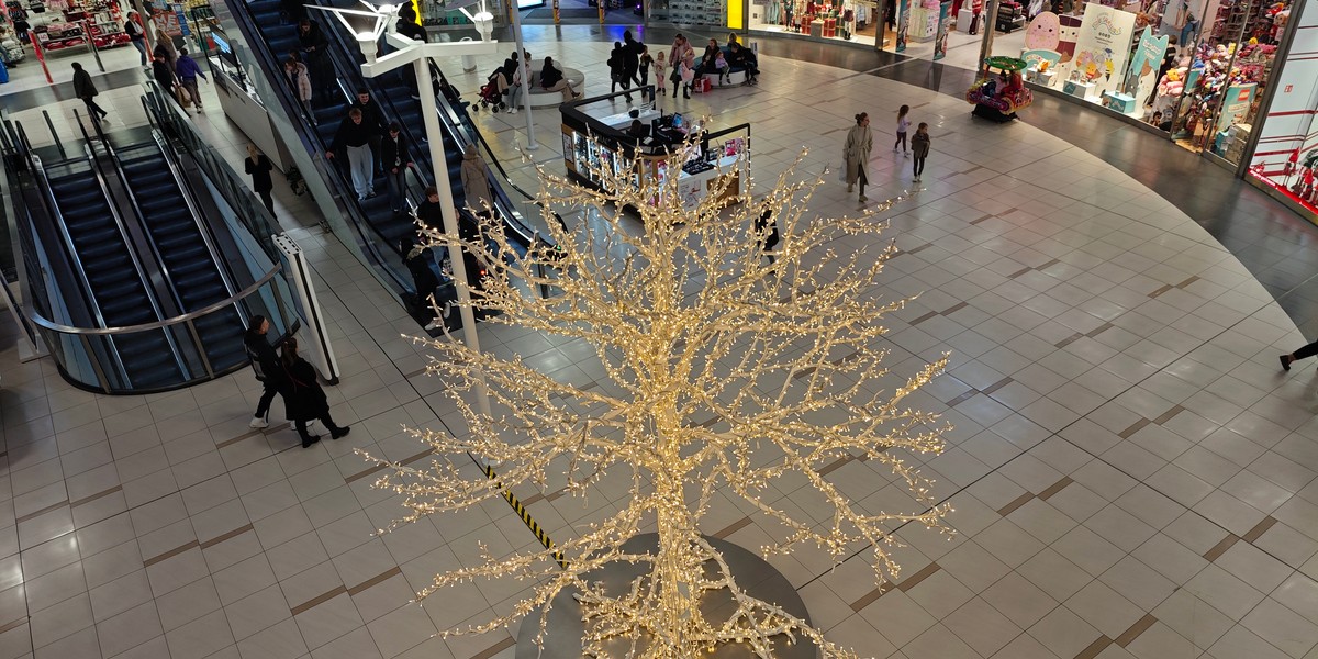 Polacy nie do końca udają sprzedawcom, jeśli chodzi o promocje