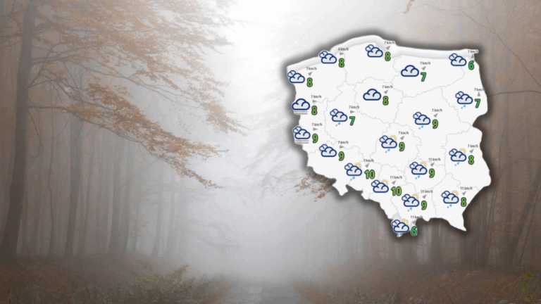 IMGW opublikował alerty pierwszego stopnia przed obfitą mgłą dla dziewięciu regionów. Zasięg widzenia spadnie poniżej 200 metrów. W trakcie dnia przewidywane są opady. Po zaniknięciu deszczu, w porze nocnej, znowu mogą zaistnieć mgły. Przede wszystkim jeden region ma być wystawiony na trudne okoliczności. Mżawka i zamglenie. Alarmy dla środkowej części kraju. - INFBusiness