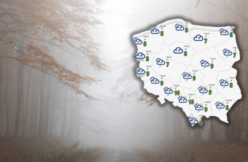 Mżawka i zamglenie. Alarmy dla środkowej części kraju.