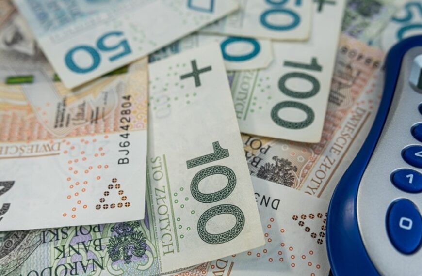 Krajowy budżet na rok 2025. Istotne dane o zapotrzebowaniu na środki.