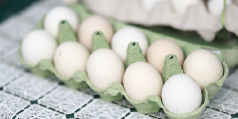 Braki jaj zaczynają być odczuwalne na rynku polskim oraz europejskim. W konsekwencji, ceny w obrocie hurtowym szybują, a specjaliści prognozują, że wzrosty cenowe dotkną także kupujących w marketach. Krajowa Izba Producentów Drobiu i Pasz (KIPDiP) ostrzega, że okoliczności są niepokojące, a ich geneza jest bardziej skomplikowana niż wyłącznie sezonowy przyrost popytu. Jajeczny impas. Możliwy wzrost cen. - INFBusiness