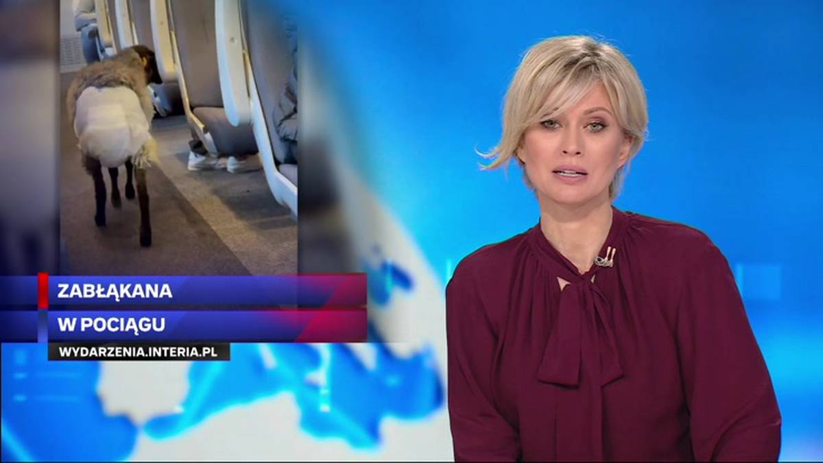 Absolutnie unikaj spożywania tego mięsa. Ryzyko dla zdrowia. - INFBusiness