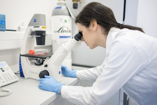 Badania wykazały, że najskuteczniejsze metody zapłodnienia in vitro po 40. roku życia…