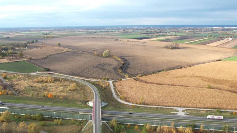 Minister rolnictwa Stefan Krajewski zakomunikował, że złożył dwa powiadomienia do prokuratury w sprawie zbycia parceli pod CPK. Jedno z nich odnosi się do ówczesnego wiceministra rolnictwa Rafała Romanowskiego, a drugie do ówczesnych decydentów Krajowego Ośrodka Wsparcia Rolnictwa. Kontrola w KOWR. Minister zawiadamia prokuraturę - INFBusiness