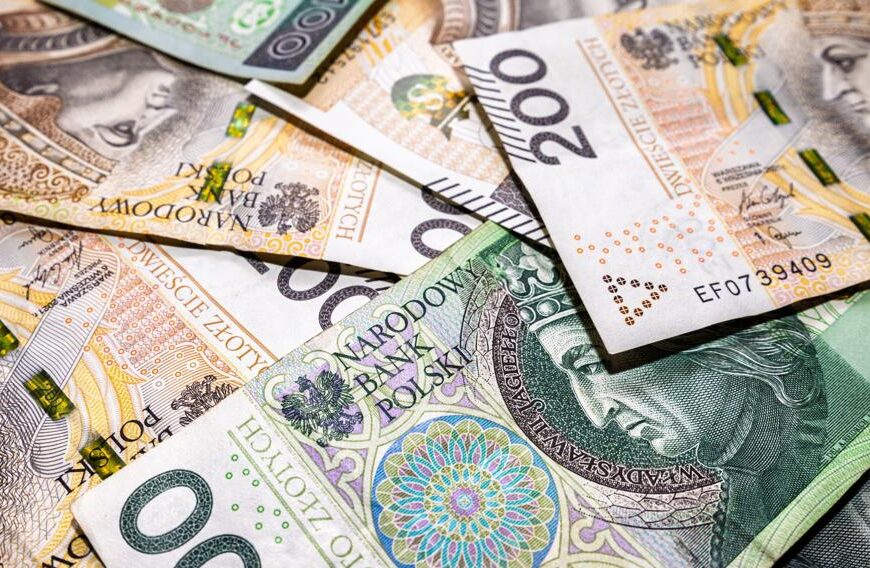 Przeciętny Polak: Ile wypłat na własne M?