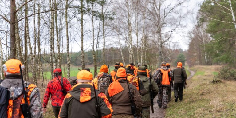 IBRiS: Sondaż o sporach wokół prac nad orężem. Kto oponuje? - INFBusiness