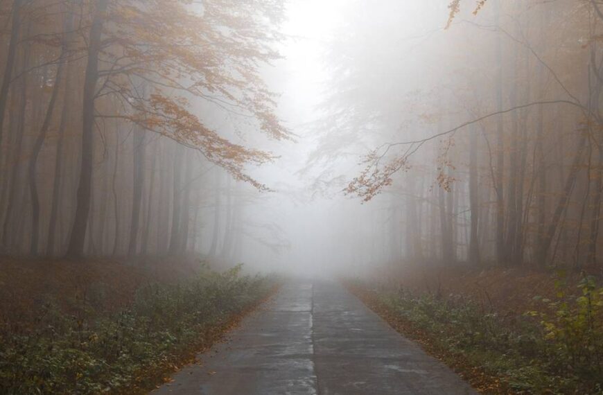 Silna mgła w Polsce. Alerty pogodowe od IMGW.