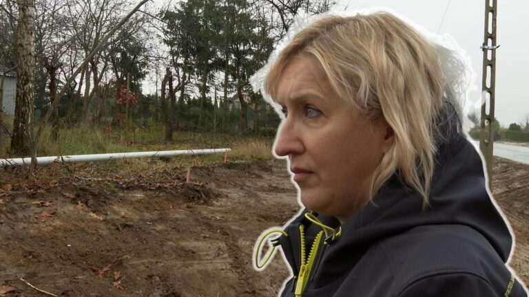 Wycięto dziesiątki drzew. Powodem: nowy przystanek. - INFBusiness