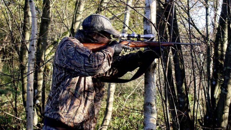 Orzeczono tymczasowy areszt dla łowczego, który spowodował zgon 68-letniego mężczyzny w trakcie polowania w rejonie Milejewa (woj. lubelskie). W swoich wyjaśnieniach stwierdził, iż wziął człowieka za dzika. Może mu grozić kara nawet dożywotniego pozbawienia wolności. Polowanie ze skutkiem śmiertelnym. Najnowsze ustalenia śledczych - INFBusiness