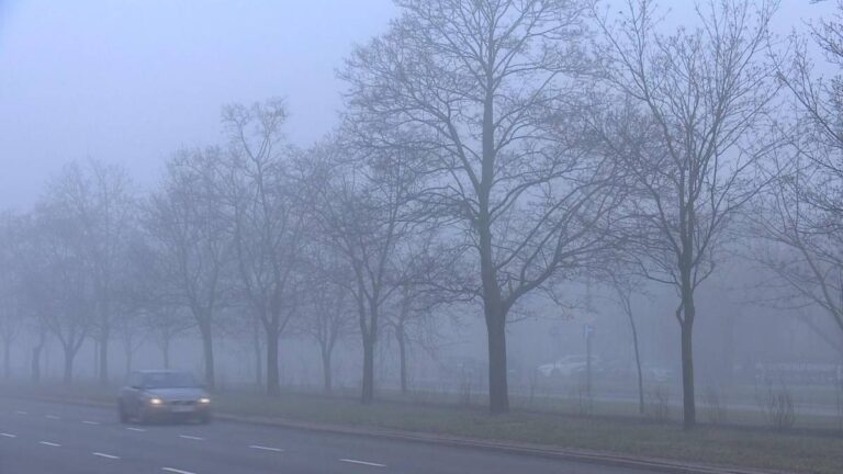 Jesień zadomowiła się na stałe. Rozległe zamglenia spowiją obszar państwa. - INFBusiness