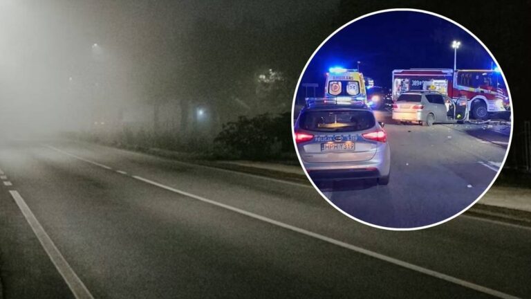 Dwa pojazdy zderzyły się frontalnie w miejscowości Ługi-Rętki niedaleko Siedlec (woj. mazowieckie). Wszyscy - razem siedem osób - zostali przetransportowani do szpitala. - Osobę kierującą jednym z pojazdów należało wyciągnąć z użyciem specjalistycznego urządzenia hydraulicznego - poinformował Interię rzecznik prasowy siedleckiej straży pożarnej kpt. Daniel Czapski. Wypadek pod Siedlcami, siedmioro rannych w szpitalu. Policja alarmuje o wzroście zagrożenia. - INFBusiness