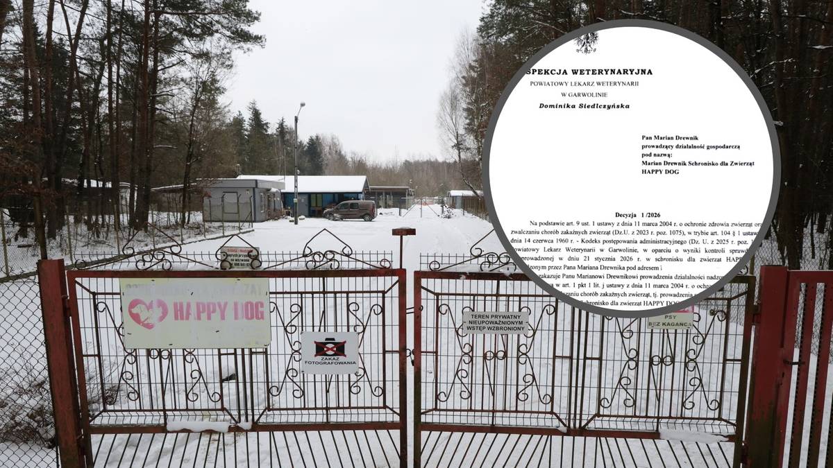 Brama schroniska dla zwierząt HAPPY DOG z dokumentem urzędowym nakazującym zamknięcie.