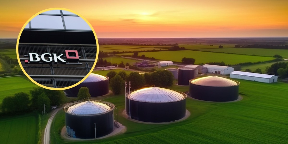 Z analiz Banku Gospodarstwa Krajowego wynika, że niedobór inwestycji w polskim sektorze energetycznym może dotyczyć między innymi instalacji biogazu i biometanu