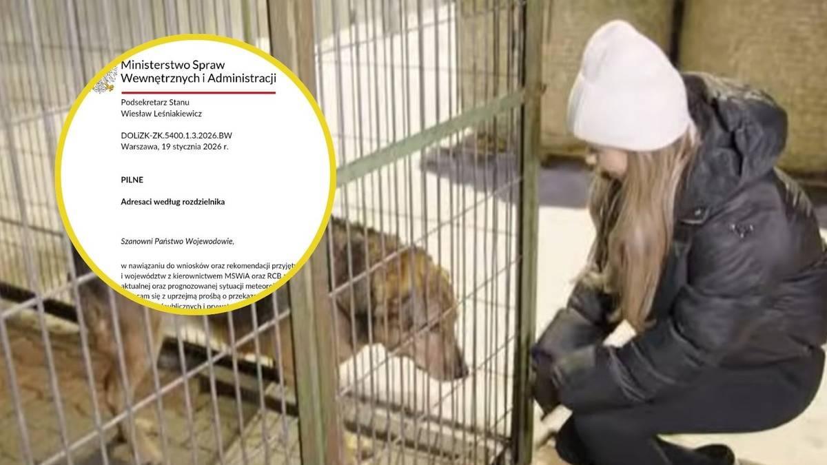 Pies w klatce schroniskowej obok dziewczynki, z zaznaczonym fragmentem dokumentu MSWiA.