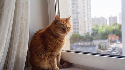 Ubóstwo energetyczne w UE spada. Polska i Słowenia z najlepszymi wynikami