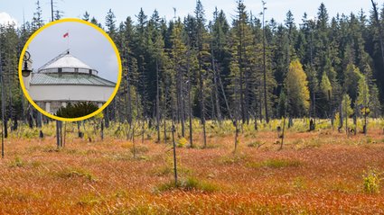 Sejm otwiera nowy rozdział dla rolników. Większe wsparcie i elastyczność