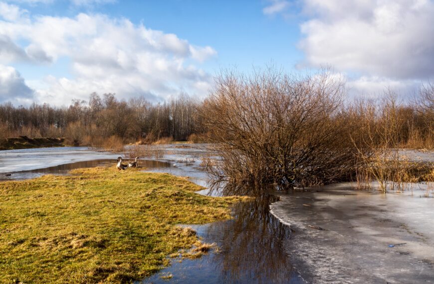 Coraz bardziej wiosenna aura w Polsce. Temperatury powyżej zera.