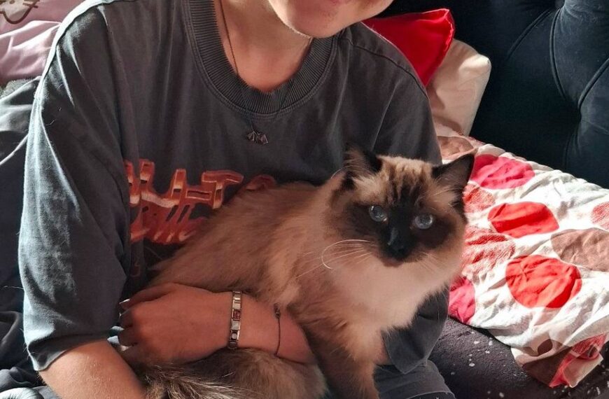 Wsparcie dla osób z niepełnosprawnościami. Schorowani umierają przed…