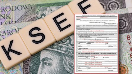 Chcesz mieć dostęp do KSeF? Musisz to mieć, jeśli sam nie prowadzisz działalności
