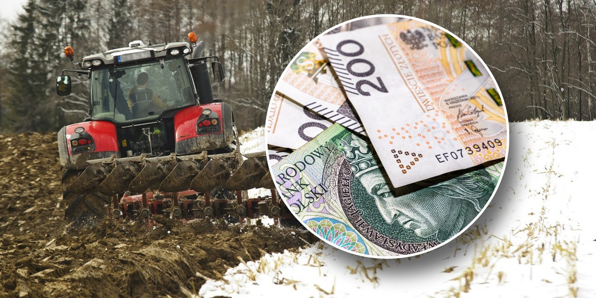 Male gospodarstwa nie dostaną dopłat? Taki ma być efekt nowej ustawy