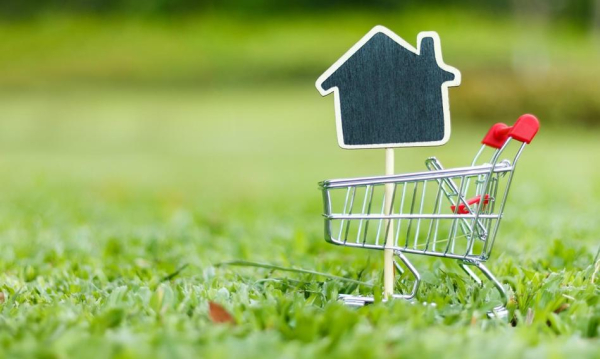 Działka na sprzedaż: gdzie ogłosić?