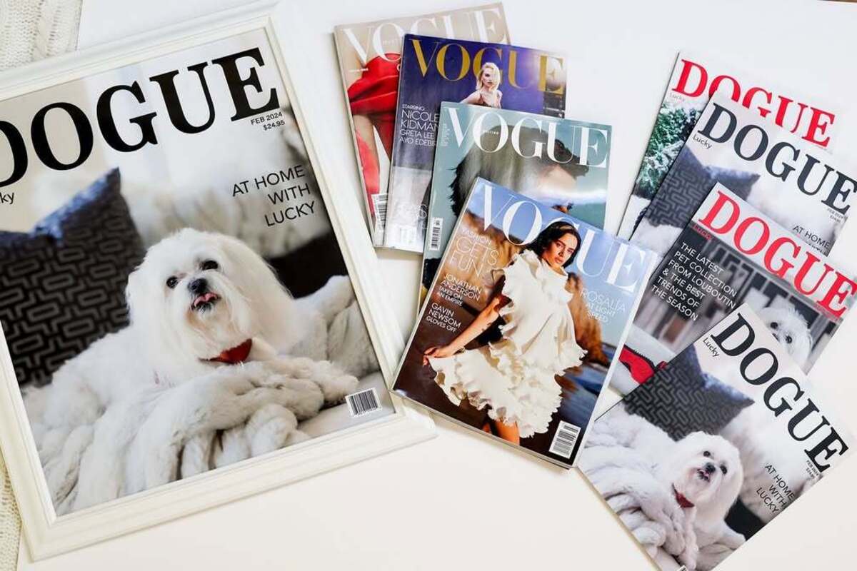 Vogue pozywa Dogue. Porównanie obok siebie okładek magazynów „Vogue” i „Dogue”, ukazujące podobieństwo w nazewnictwie, typografii i wyglądzie w kontekście sporu o znak handlowy.