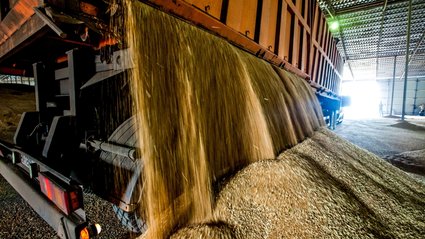 Resort rolnictwa chce jednocześnie zwiększyć rezerwy i eksport zboża