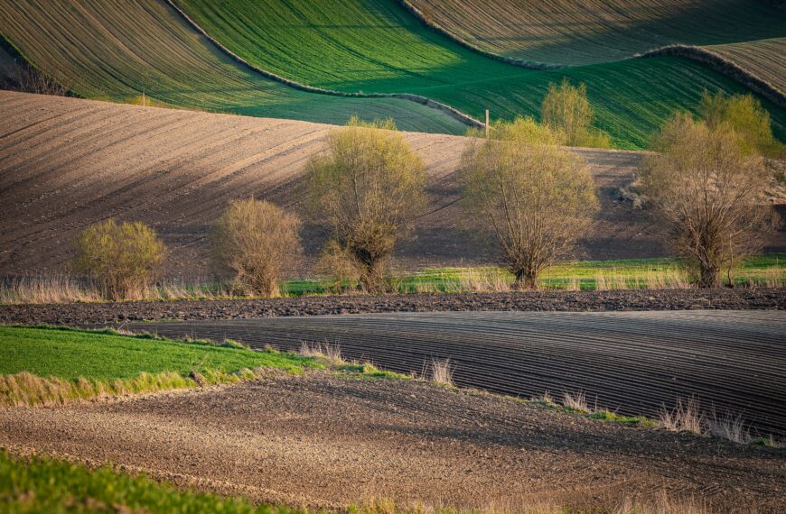 Pochmurno, opady i możliwe nawałnice w prognozach Instytutu Meteorologii i Gospodarki Wodnej.
