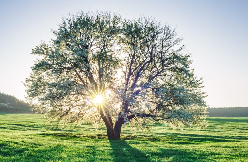 Ustawa o Rozwoju Przemysłu z opóźnieniem. Europejski sektor produkcyjny oczekuje zmiany.