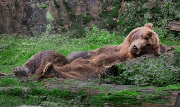 Inwestorzy nieruchomości nadal w stagnacji. Rekordowo niska podaż lokali od ośmiu lat.