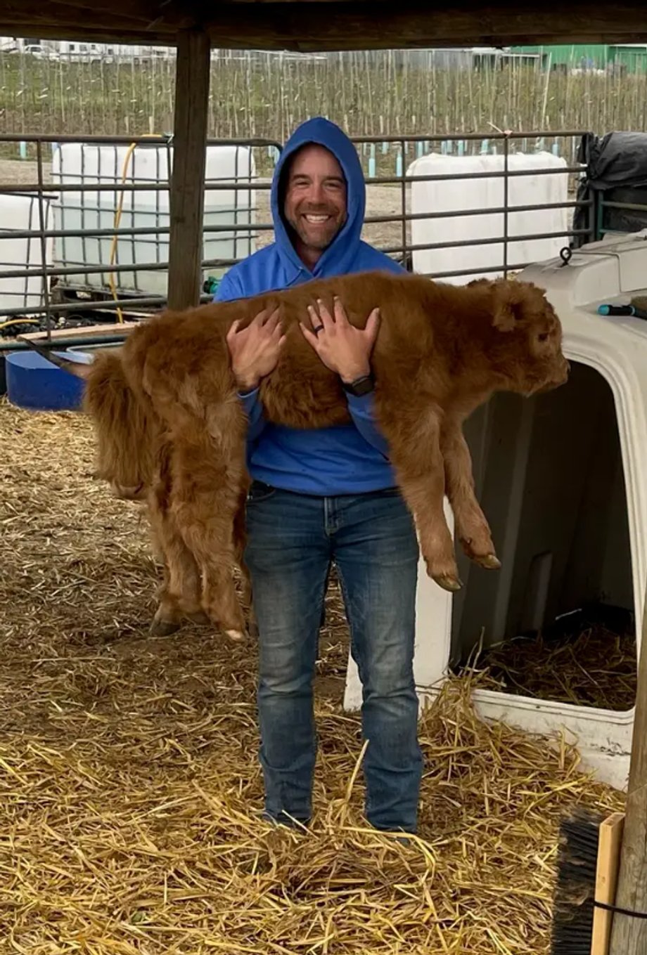 Andrew nie skupiał się wyłącznie na uprawie tulipanów, interesowało go również doświadczenie w gospodarstwie
