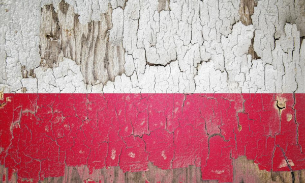 Powiązania w lokalnych władzach zmapowane. “Wszyscy potrzebują zatrudnienia”