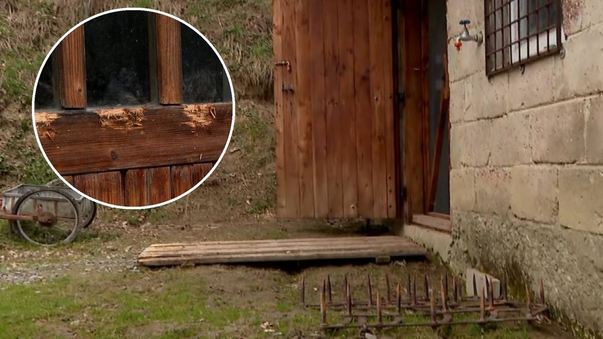 Fragment budynku z kamienia i drewna. Obok znajduje się otwarta drewniana brama, a przed nią drewniana kładka. W tle widoczne jest koło wozu i fragment muru z drewnianymi belkami.