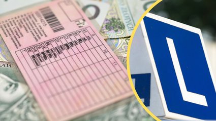 Młodzi korzystają z nowych przepisów o prawie jazdy. "Mamy boom"