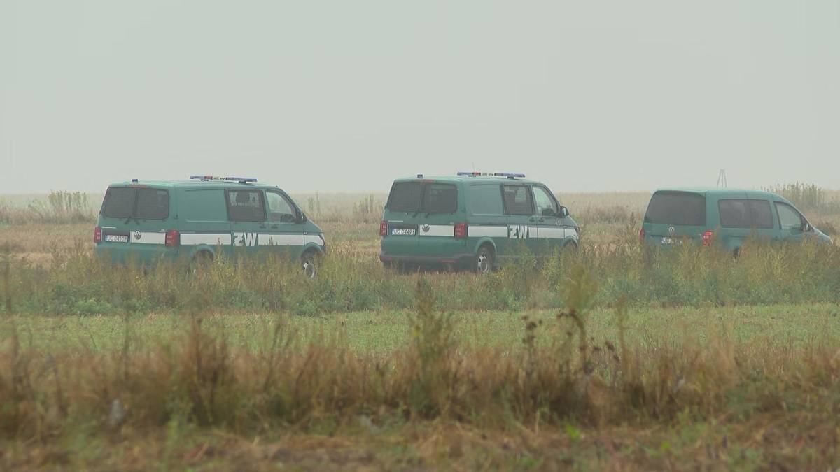 Trzy zielone furgonetki Żandarmerii Wojskowej stojące na polnej drodze w otoczeniu trawy i mglistego krajobrazu.