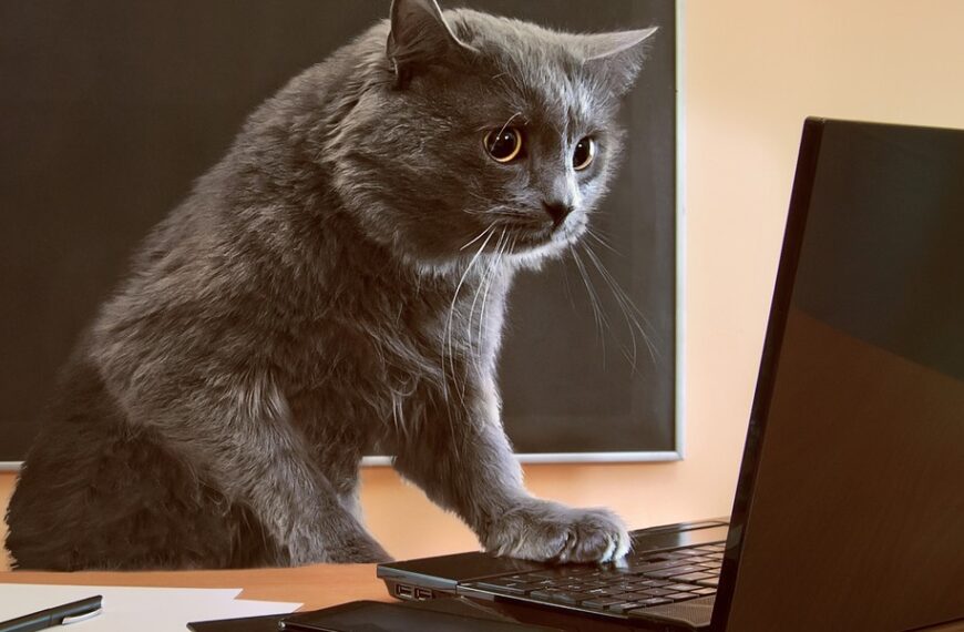 Błędy w PIT: Co Urząd Skarbowy odrzuci?