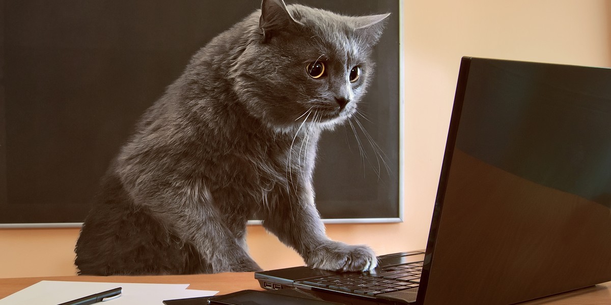 Ulga na kota to tylko początek. Pomysły Polaków zaskakują fiskusa