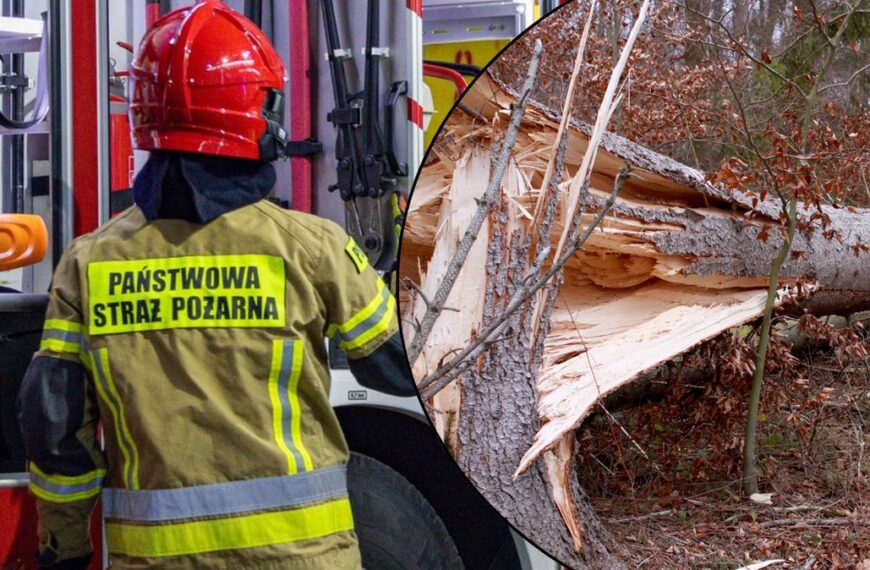 Silne wichry w Polsce. Mnóstwo akcji straży pożarnej, Królewskie Łazienki niedostępne.