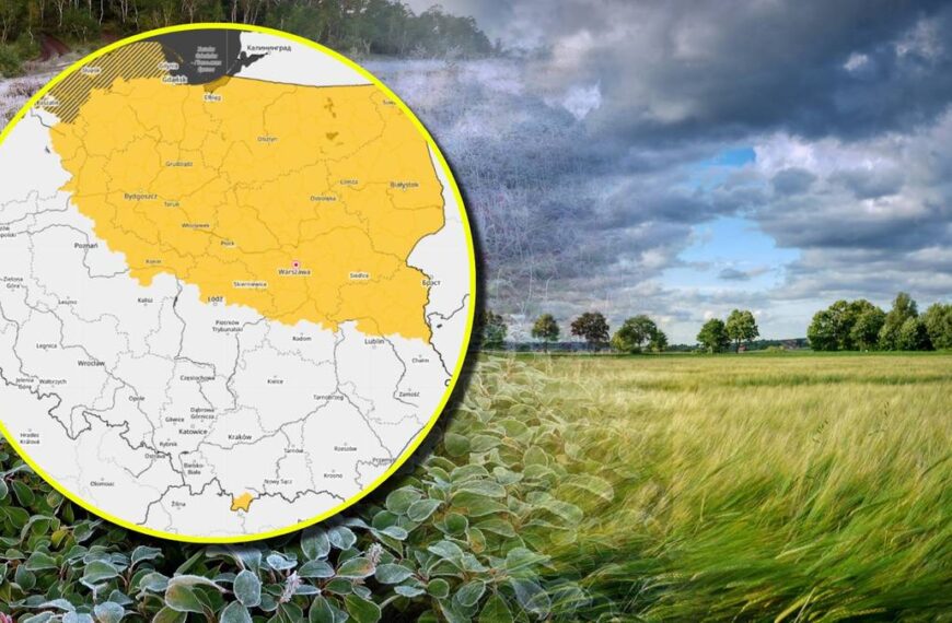 Alarm dla połowy kraju. IMGW alarmuje o mocnym wietrze i mrozach.