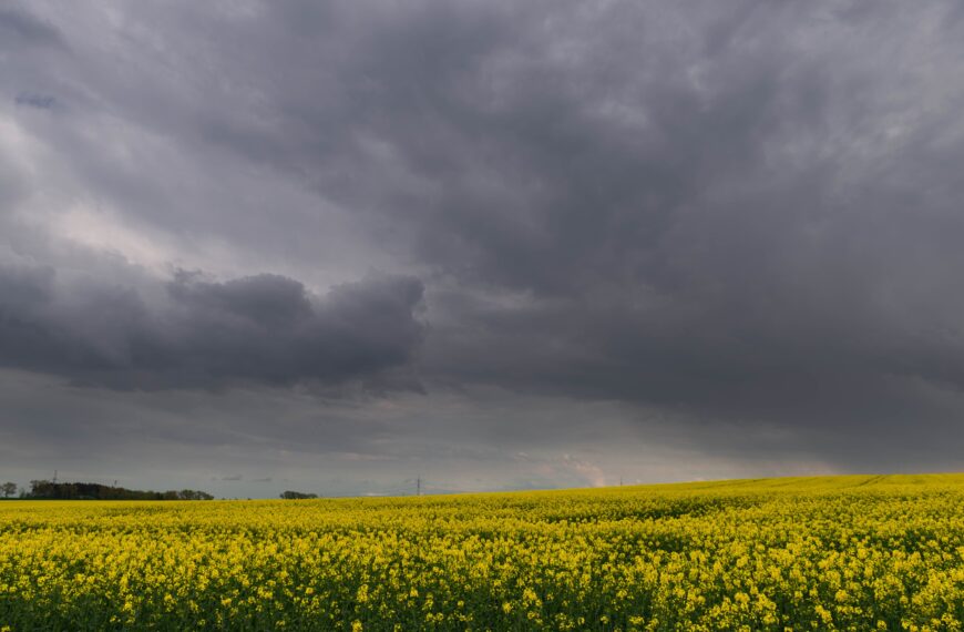 Weekendowa aura: IMGW alarmuje nie tylko o nawałnicach